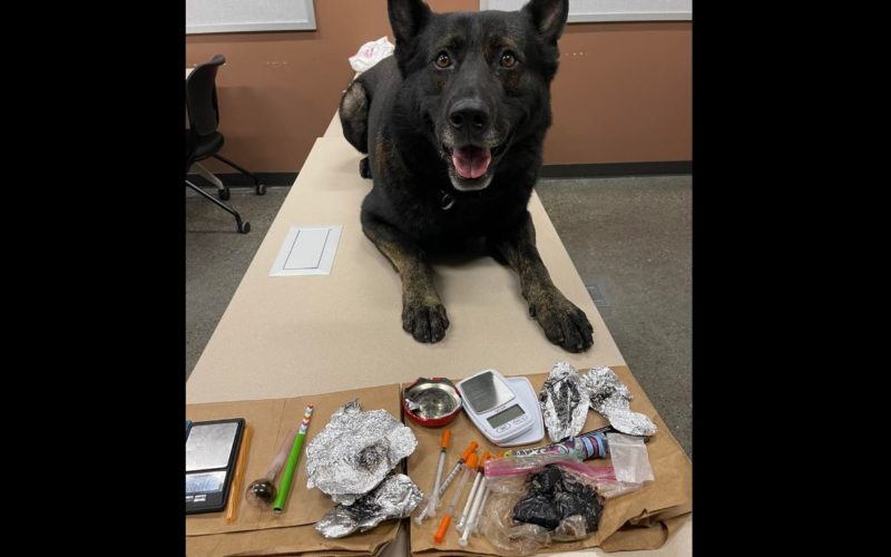 Crescent City Police Pull Over Stolen Vehicle; Driver Arrested