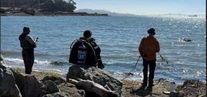 Driver Arrested for DUI, Handgun Recovered from San Francisco Bay