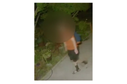 Orangevale Man Identified as Suspect in Recent Cat Killings