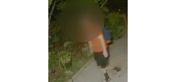 Orangevale Man Identified as Suspect in Recent Cat Killings