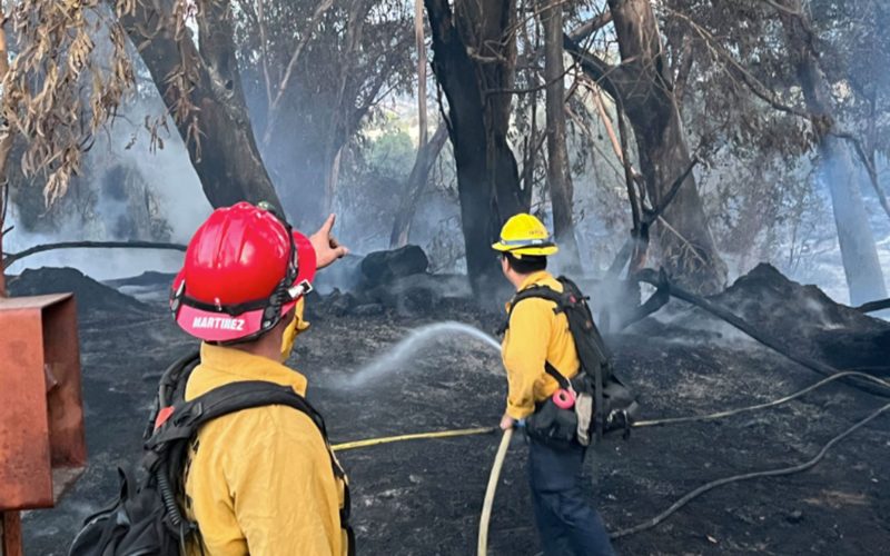 Arsonist Arrested for Goleta Beach County Park Fire