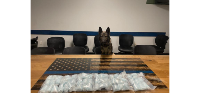 Placer County Deputy and K9 Seize 60,000 Tablets of Suspected Fentanyl