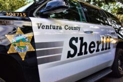 Half-million-dollar Bail for Child Predator