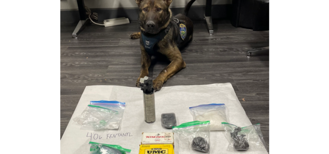 Wanted Suspect Discovered After Police Pull Over Vehicle He was Riding In