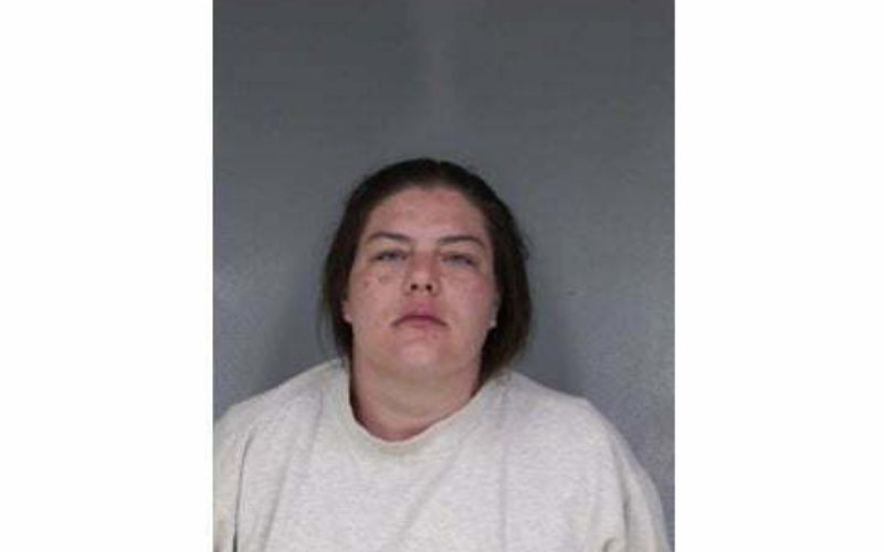 Woman Arrested for Vandalism in Shelter Cove