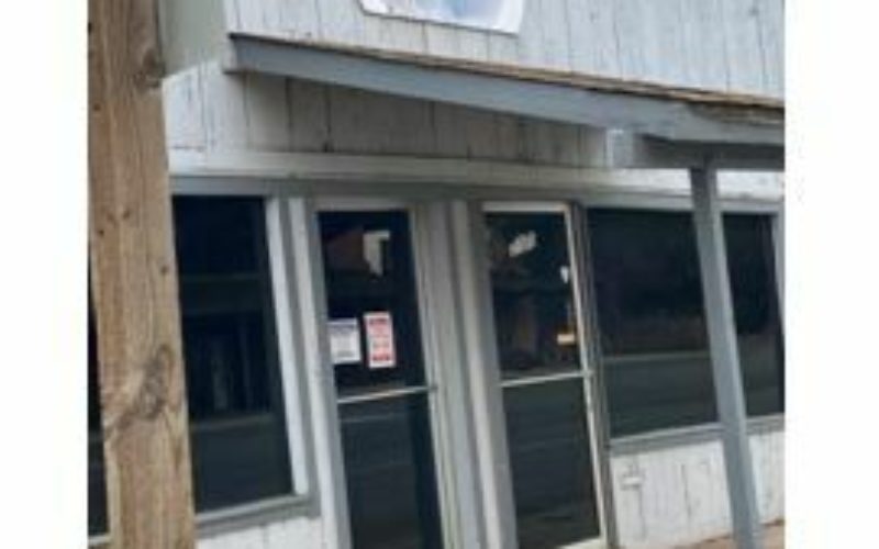 Teen Vandals Arrested