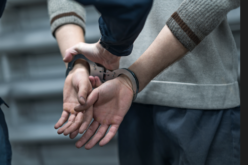 Crime Spree Suspect Held in Custody in Lieu of $11.7 Million Bond