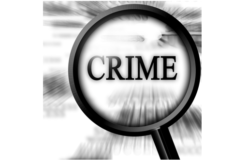 Police Seek Public Help Identifying Suspects in Palm Springs Dog Theft