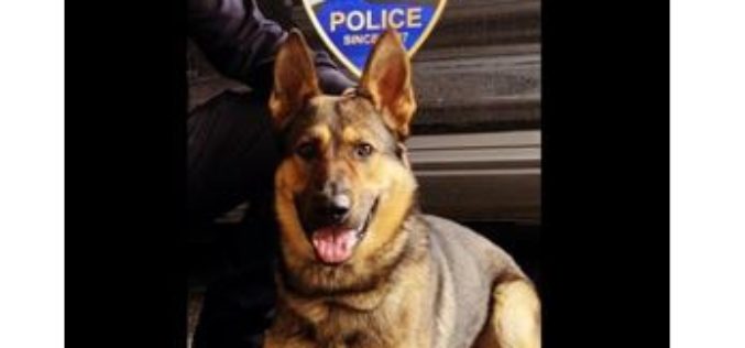 Burglar Arrested for Third Time This Month