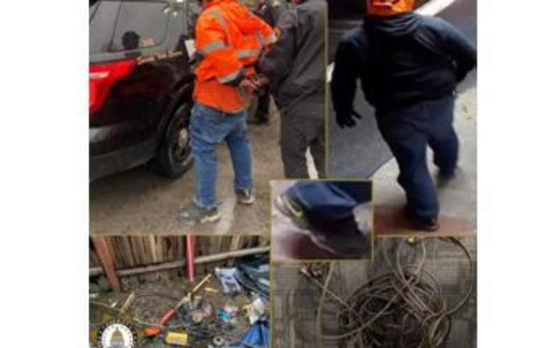 Orangevale Burglary Arrest