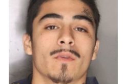 Antelope Homicide Suspect Arrested