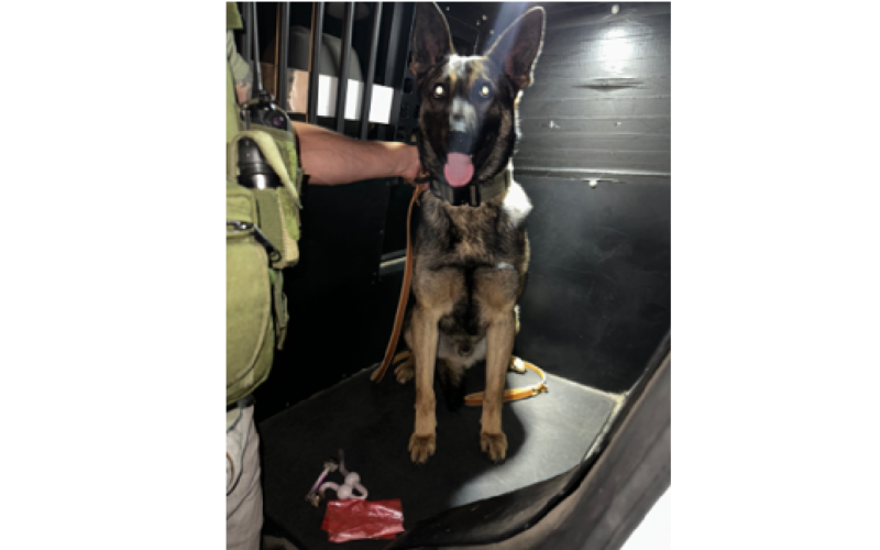 K9 Detects Drugs in Car, Leads to Narcotics Arrest