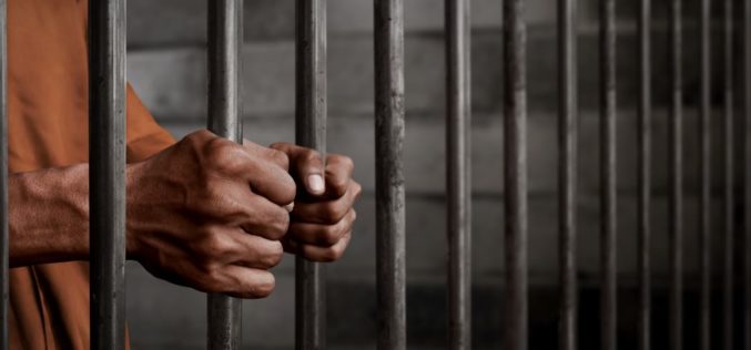 Lolita Man Arrested for Alleged Sexual Assault of Minor