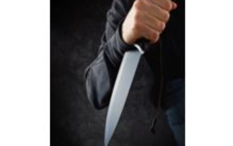 Intruder Arrested at Fairlands Elementary School, Knives Recovered