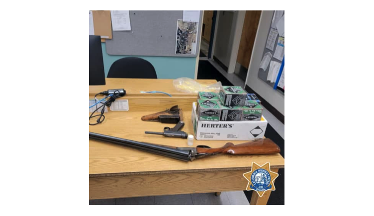 Man with Prior Felony Conviction Reportedly Caught with Loaded Gun ...