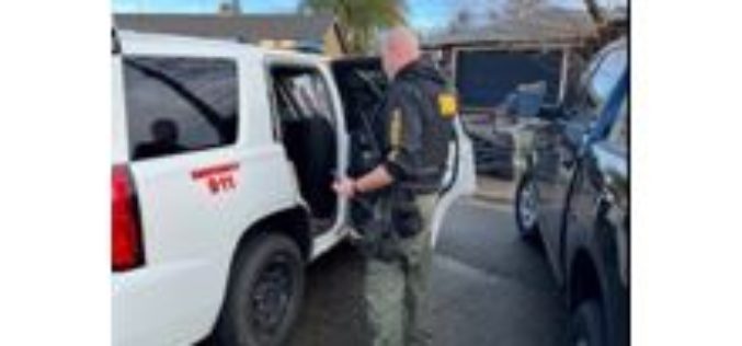 Vehicle Vandal and Thief Arrested