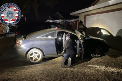 Woodland Woman Arrested for Armed Robbery After Business Hold-Up