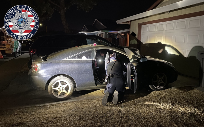 Woodland Woman Arrested for Armed Robbery After Business Hold-Up