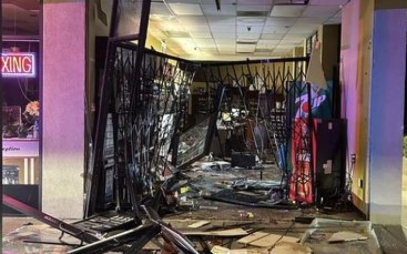 Burglary Suspect Arrested after Crashing a Stolen Getaway Vehicle