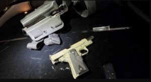 Seized Firearm - Courtesy of WPD