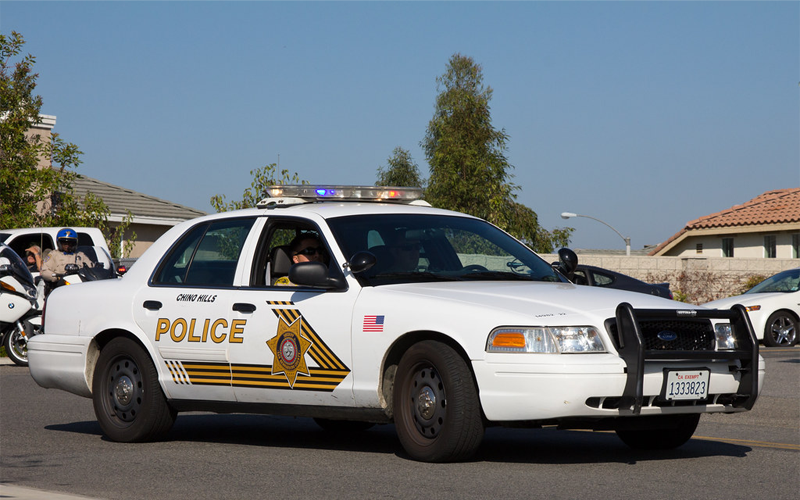 Man Arrested for Possession and Distribution of Child Pornography