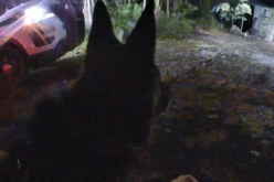 Deputy Foils Burglary in Progress in Nevada City, Two Suspects Arrested