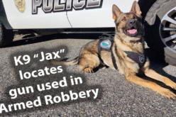 Mammoth Lakes Police K9 Assists in Armed Robbery Investigation and Arrest