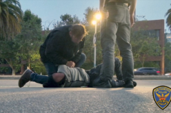 SFPD Citywide Plainclothes Team Achieves Over 600 Felony Arrests in 2024