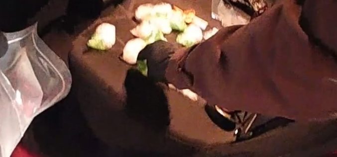 Yolo County Deputies Arrest Suspect Following Probation Search Uncovering Methamphetamine and Marijuana