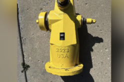 Police Pursuit Leads to Stolen Fire Hydrant