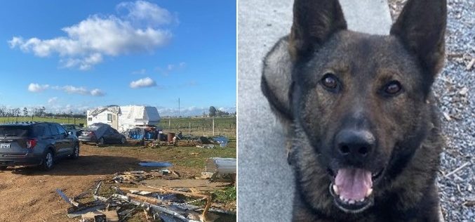 Three Probation Offenders Arrested in Tehama County Narcotics and Firearms Investigation