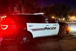 Man Arrested for Beating Dog with Wooden Weapon