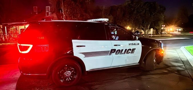 Man Arrested for Beating Dog with Wooden Weapon