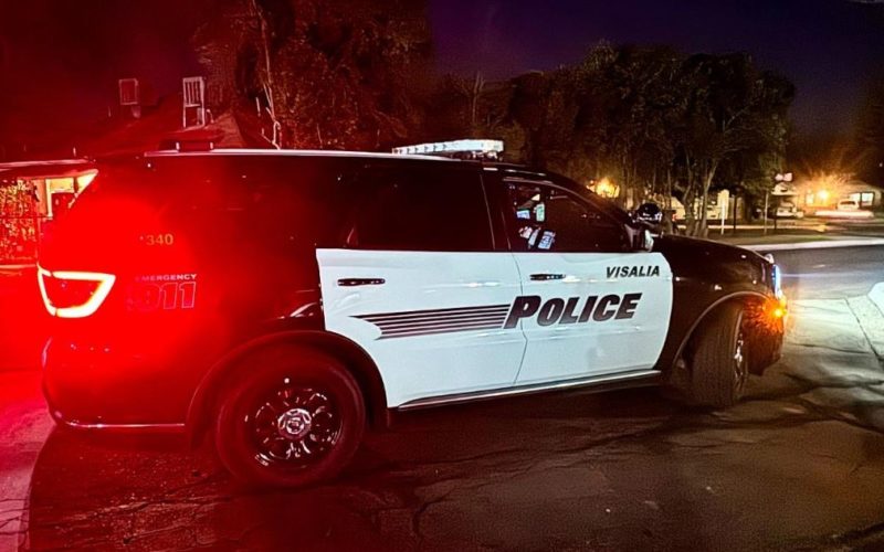 Man Arrested for Beating Dog with Wooden Weapon