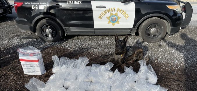K9 Unit Detects Major Drug Haul in Traffic Stop: 48 Pounds of Meth and 2 Pounds of Fentanyl Seized