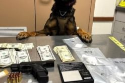 Drugs and a Loaded Firearm Found during a Traffic Stop