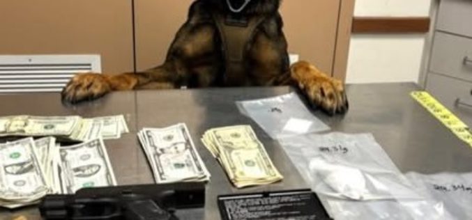 Drugs and a Loaded Firearm Found during a Traffic Stop