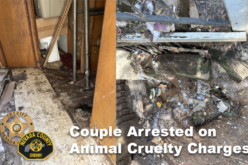 Grass Valley Couple Arrested on Animal Cruelty Charges; 18 Dogs Rescued
