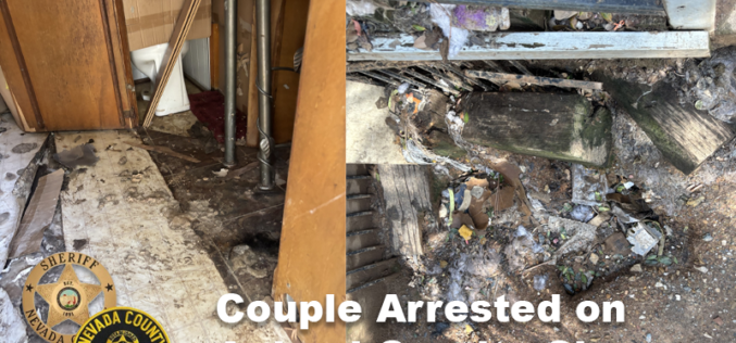 Grass Valley Couple Arrested on Animal Cruelty Charges; 18 Dogs Rescued