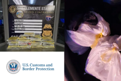 Border Patrol Seizes 47 Pounds of Cocaine in San Clemente Traffic Stop