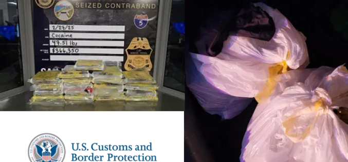 Border Patrol Seizes 47 Pounds of Cocaine in San Clemente Traffic Stop