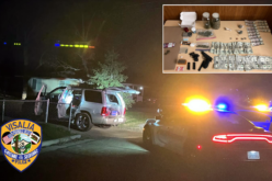 Three Arrested in Visalia Traffic Stop; Drugs and Firearm Seized