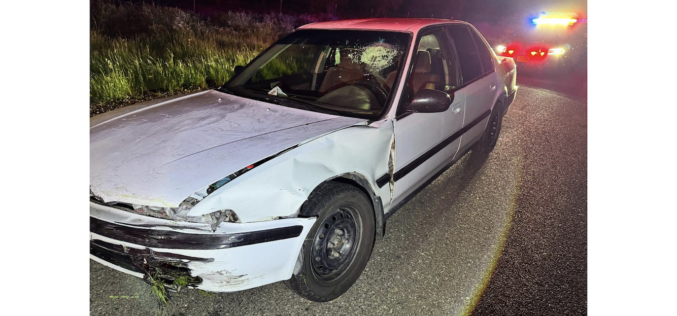 Madera County Motorist Arrested for Alleged Reckless Driving After Crashing Car