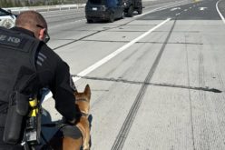 Driver of Stolen Vehicle Reportedly Arrested After Police Pursuit in Garden Grove