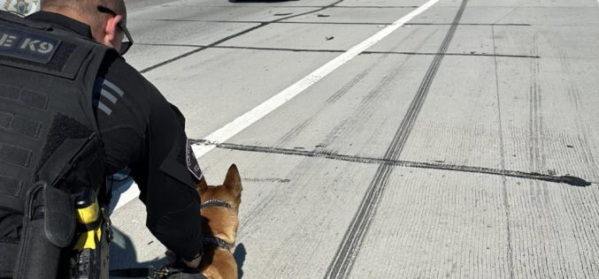 Driver of Stolen Vehicle Reportedly Arrested After Police Pursuit in Garden Grove