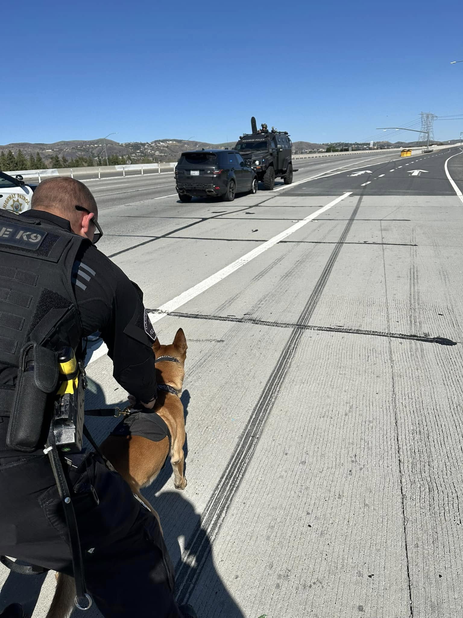 Driver of Stolen Vehicle Reportedly Arrested After Police Pursuit in ...