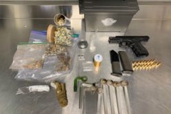 Sonoma County Woman Arrested for Alleged Assault, Child Abuse