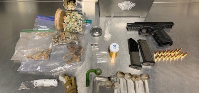 Sonoma County Woman Arrested for Alleged Assault, Child Abuse