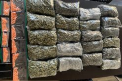 “Small Amount” of Marijuana? South Carolina Man Busted in Auburn with 21 Bags and Counterfeit Adderall