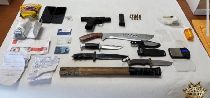 Convicted Felon Arrested After Deputies Find Weapons, Drugs, and Stolen Property During Traffic Stop